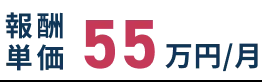 報酬単価55万円/月