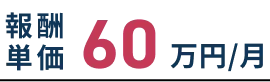 報酬単価60万円/月