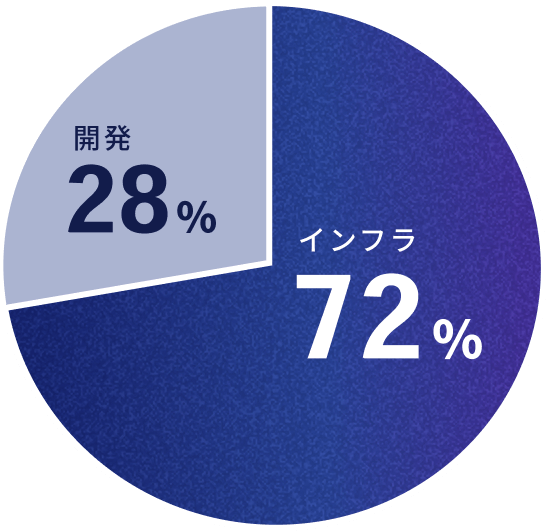 開発28%、インフラ72%